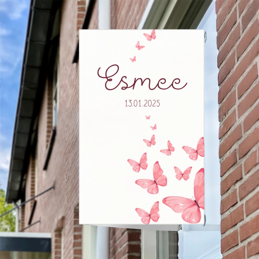 🩷 Geboorteborden voor meisjes