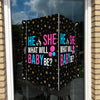Raambord He or she what will baby be - Gender reveal-zuignappen-tape-Raambordje-Raambord.nl