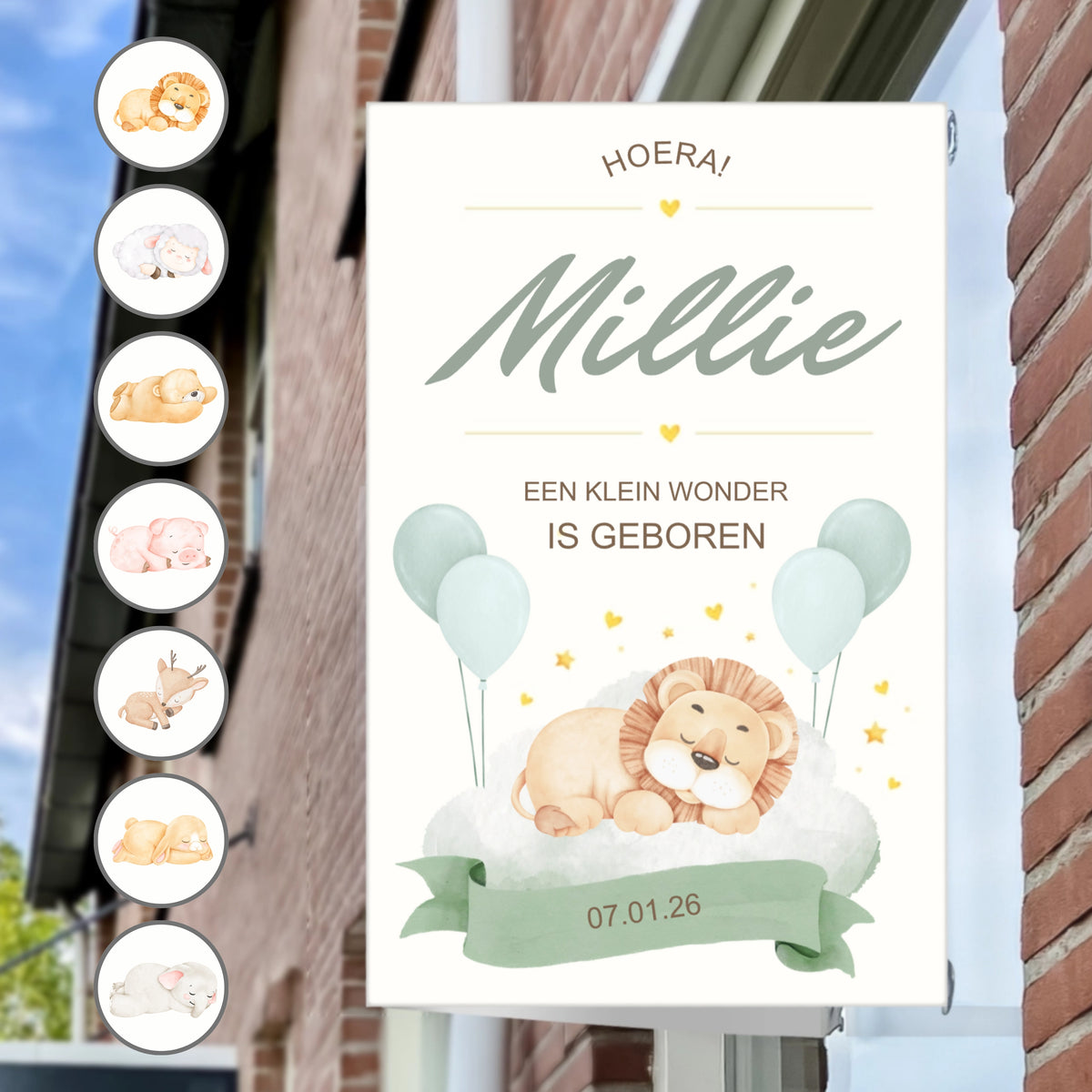 Raambord Geboorte Dieren