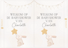Raambord Babyshower Konijn met Ster – Personaliseerbaar Welkomstbord