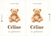 Raambord Geboorte Knuffeldieren – Gepersonaliseerd Geboortebord