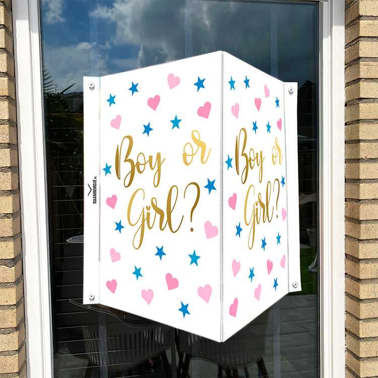 Raambord Boy or girl 2 - Gender reveal
